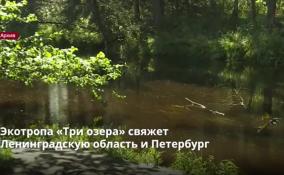 Экотропа «Три озера» свяжет
Ленобласть и Петербург