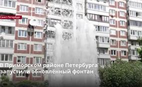 В Приморском районе Петербурга запустили обновлённый
фонтан