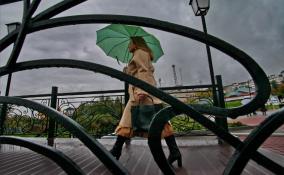 Жителей Ленобласти предупредили о дождях и грозах с 13 по 15 июня