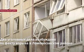 По факту взрыва в Ломоносовском районе возбуждено 2 уголовных дела