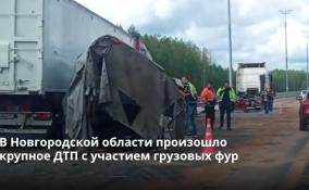 В Новгородской области произошло крупное ДТП с участием
грузовых фур