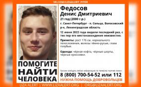 В Волосовском районе и в Петербурге ищут 21-летнего Дениса Федосова