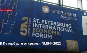 В Северной столице стартовал Петербургский международный
экономический форум