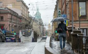 Жителей Петербурга в пятницу ждет облачная погода и кратковременные дожди