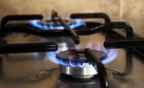 УФАС возбудило антимонопольное дело на ключевого поставщика газа в Ленобласти