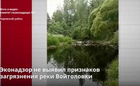Эконадзор не выявил признаков
загрязнения реки Войтоловки