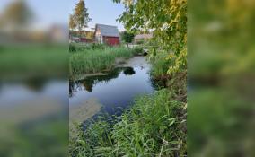 В реке Выбья под Усть-Лугой утонул ребенок