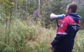 Заблудившегося в лесу жителя Приозерского района нашли спасатели