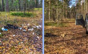 В ленинградских лесах и на берегах водоемов собрали около 100 кубометров мусора