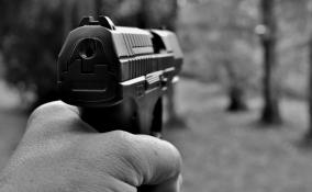 В садоводстве в Гатчинском районе застрелили директора магазина автозапчастей