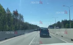 На трассе «Скандинавия» в Ленобласти столкнулись две машины