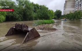 В центре Симферополя на реке Салгир сотрудники «КРЫМ-СПАС»
спасли детей