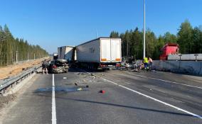 Против виновника смертельной аварии на «Скандинавии» возбудили уголовное дело
