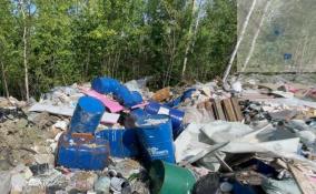 В Тосненском районе обнаружили опасную свалку с химическими отходами
