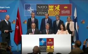 Члены НАТО заявили Владимиру Зеленскому, что конфликт
на Украине должен быть разрешен «только военным путем»