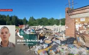 Улица города Отрадное превратилась в мусорную свалку
