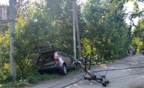 В садоводстве во Всеволожском районе автомобиль протаранил опору ЛЭП