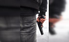 Уголовные дела завели на двух хулиганов, стрелявших из пистолета на Иоановском кладбище