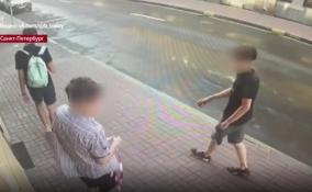 Подростки украли камеру наблюдения на Шпалерной улице в
Петербурге