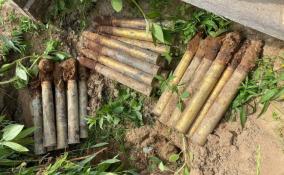 Саперам передали 30 снарядов времен войны, найденных в траншее в Ленобласти