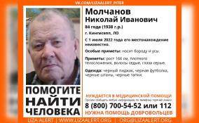 В Кингисеппе разыскивают 84-летнего Николая Молчанова