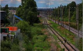 Маршрут электрички Мга – Ладожский вокзал продлили до станции Войбокало