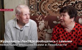 Журналисты ЛенТВ24 пообщались с самыми пожилыми
молодожёнами в Ленобласти