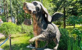 Во Всеволожске поставили памятник псу, который спас четыре семьи в блокадном Ленинграде
