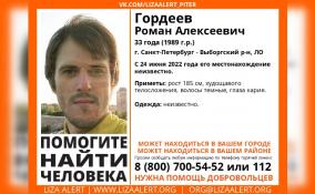 В Петербурге и Ленобласти разыскивают пропавшего Романа Гордеева