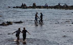 Безопасных мест для купания в Ленобласти стало меньше