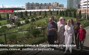 Многодетные семьи в Парголово отметили День семьи, любви и
верности