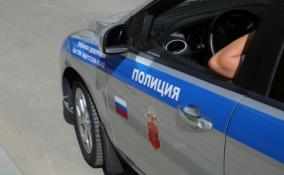 В Волховском районе водитель "Лады" задавил 72-летнего пенсионера