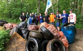 Во время уборки на реке Коваш волонтеры собрали порядка 700 кг мусора