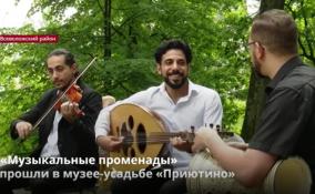 «Музыкальные променады» стартовали в Ленобласти и
Петербурге