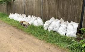 Эковолонтёры собрали 42 мешка мусора во время субботника на Новоладожском канале