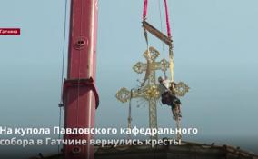 На куполах
Павловского кафедрального собора началась установка золочёных
крестов