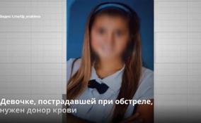 В Енакиево ищут
донора крови для 13-летней Нели