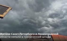 Жители Петербурга и Ленобласти попали в
тропический шторм