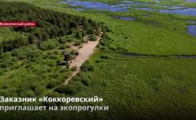 Ленобласть приглашает туристов посетить экологические
тропы и природные заказники
