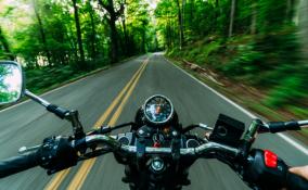 Мотоциклист насмерть разбился на трассе у деревни Ретюнь в Ленобласти