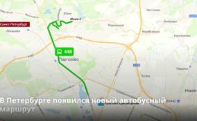 В Петербурге появился новый автобусный маршрут №448