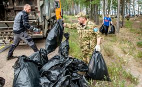В заказнике «Лебяжий» в Ленобласти волонтёры собрали 21 мешок мусора