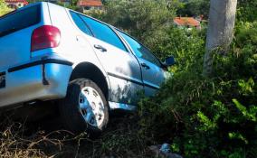 На трассе «Кола» в Ленобласти водитель врезался в дерево, есть погибшие