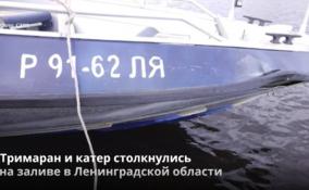 Проводится проверка по факту столкновения двух маломерных судов в
Ленобласти