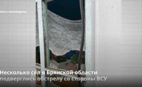 Несколько сёл в Брянской области
подверглись обстрелу со стороны ВСУ