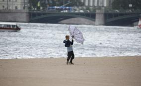 В среду в Петербурге будет ветрено и дождливо