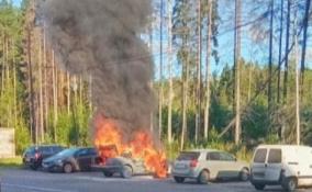 В Сертолово пожарные тушили полыхающий Mercedes-Benz