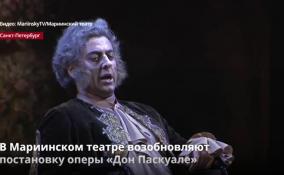В Мариинском театре возобновляют постановку оперы «Дон
Паскуале»