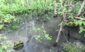 В посёлке Заводской обнаружили излив на почву канализационных стоков
