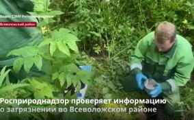 Росприроднадзор проводит проверку по факту сброса грязных стоков
в посёлке Заводской